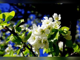 电子游戏下载地址✅-电子游戏app平台