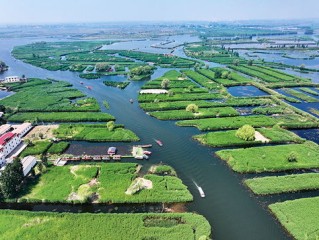 以军从黎南部德宾镇撤军，和平曙光与地区稳定新篇章的开启