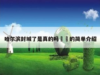 哈尔滨封城了是真的吗㊙️的简单介绍