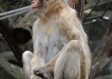 天线宝宝下载免费版官方版下载-天线宝宝下载_最新版下载v.7.65.51-安卓版