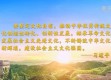 总书记引领下的非遗之旅，探寻中华文化的深邃与温度