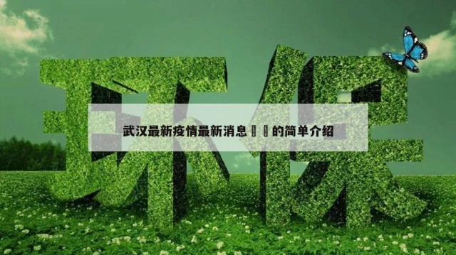 武汉最新疫情最新消息㊙️的简单介绍